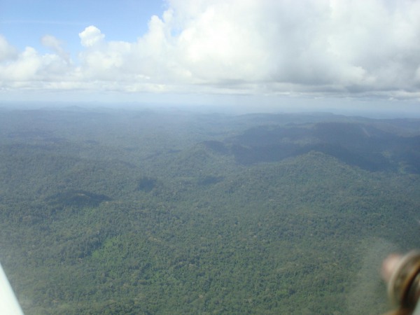 Parque do Tumucumaque - PA